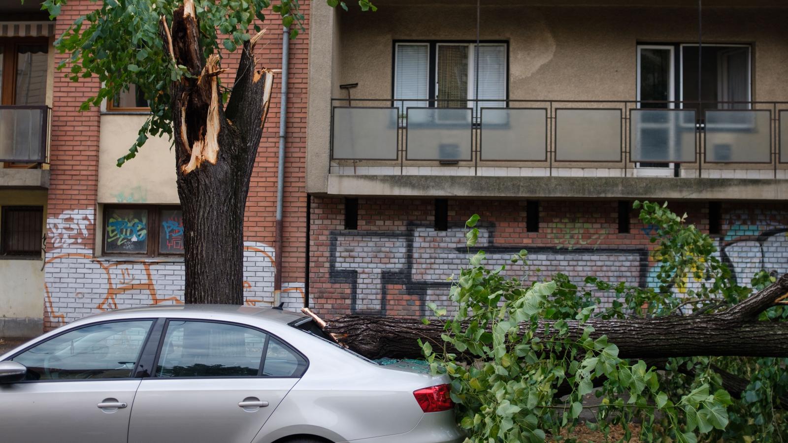 Autóra dőlt fa a vihar után Szegeden 2025. július 7-én