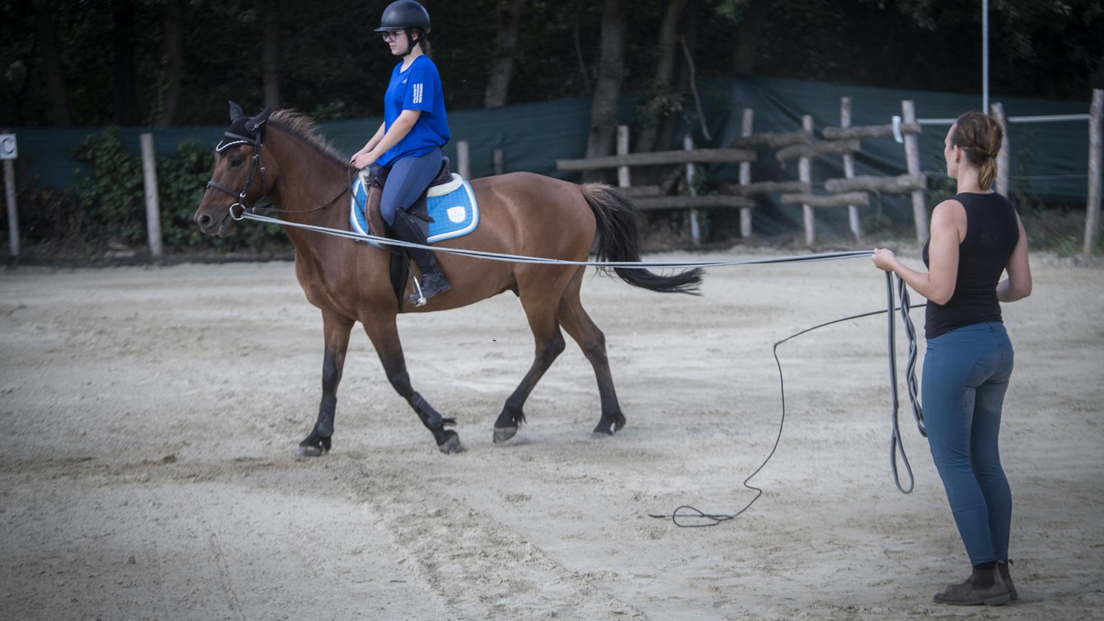 Az állat különleges képessége, hogy lereagálja, átvegye társai érzelmeit