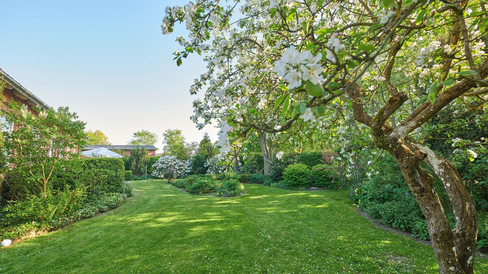 A sok fa árnyékot ad, ami jó a kertnek