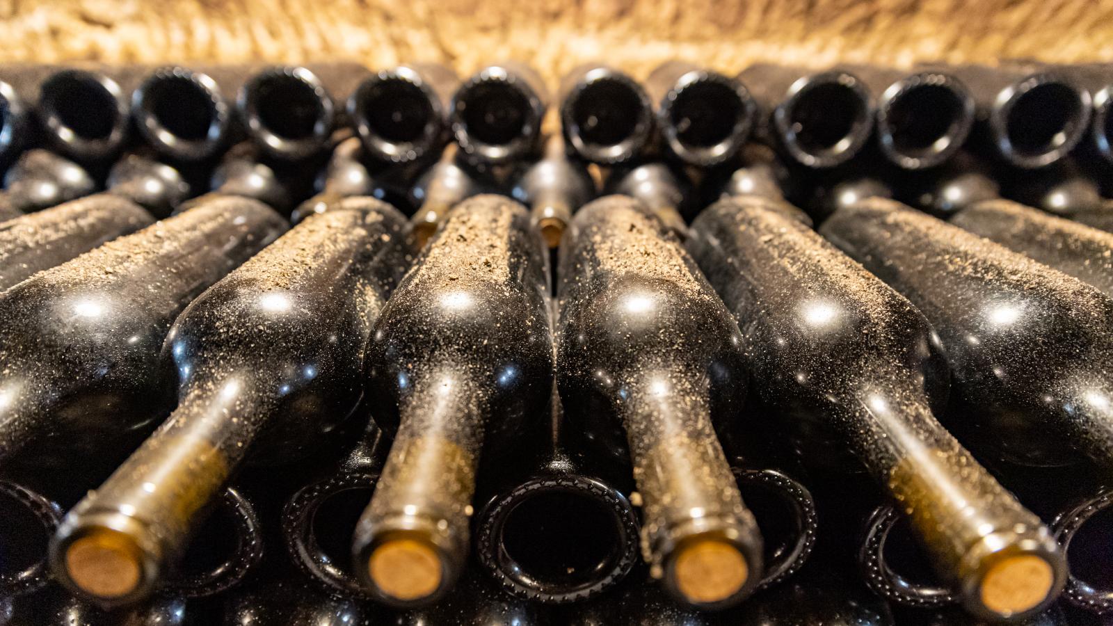 A jó bornak is kell a cégér, nem is akármilyen: a fiatalok vevők a trendi dizájnra, az új kiszerelésre