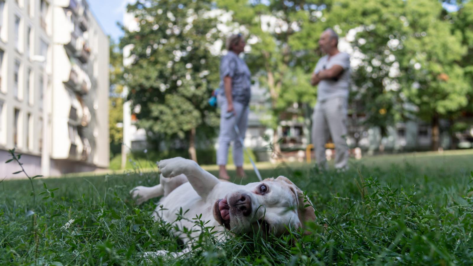 „Engem nem érdekel a politika. Nekem jó a Fidesz. A két lányom másként látja. A lényeg, hogy egészség legyen, a többit lesz…rom”