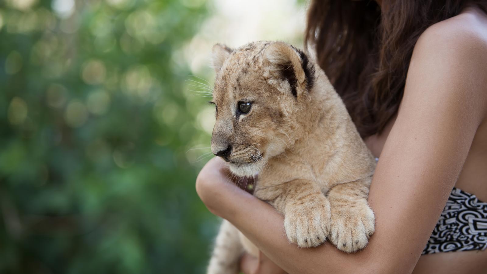Képünk illusztráció