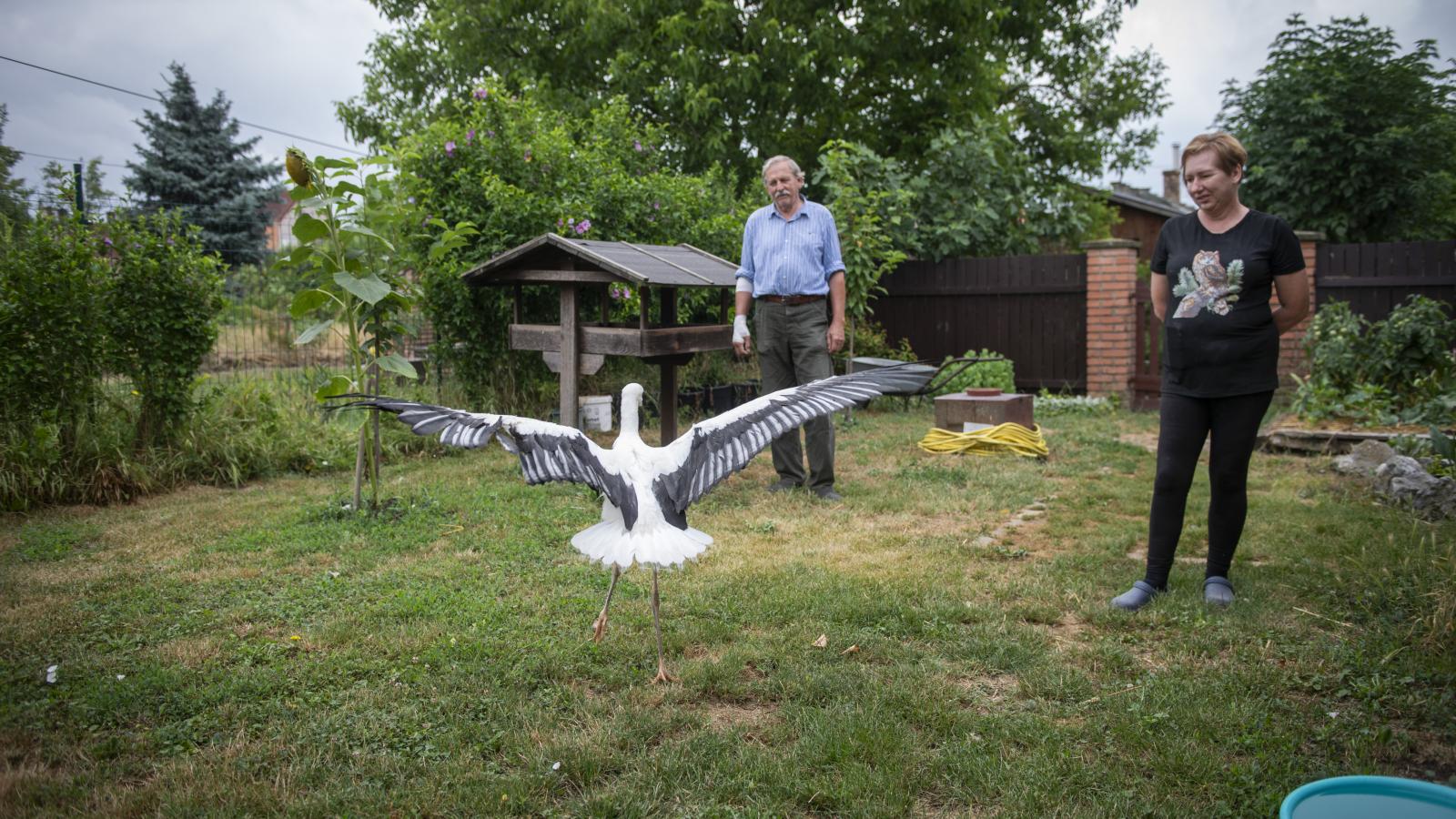Eszter a pécsi idegsebészeti klinikán ápolóként dolgozik, munkaidő után pedig madárápoló
