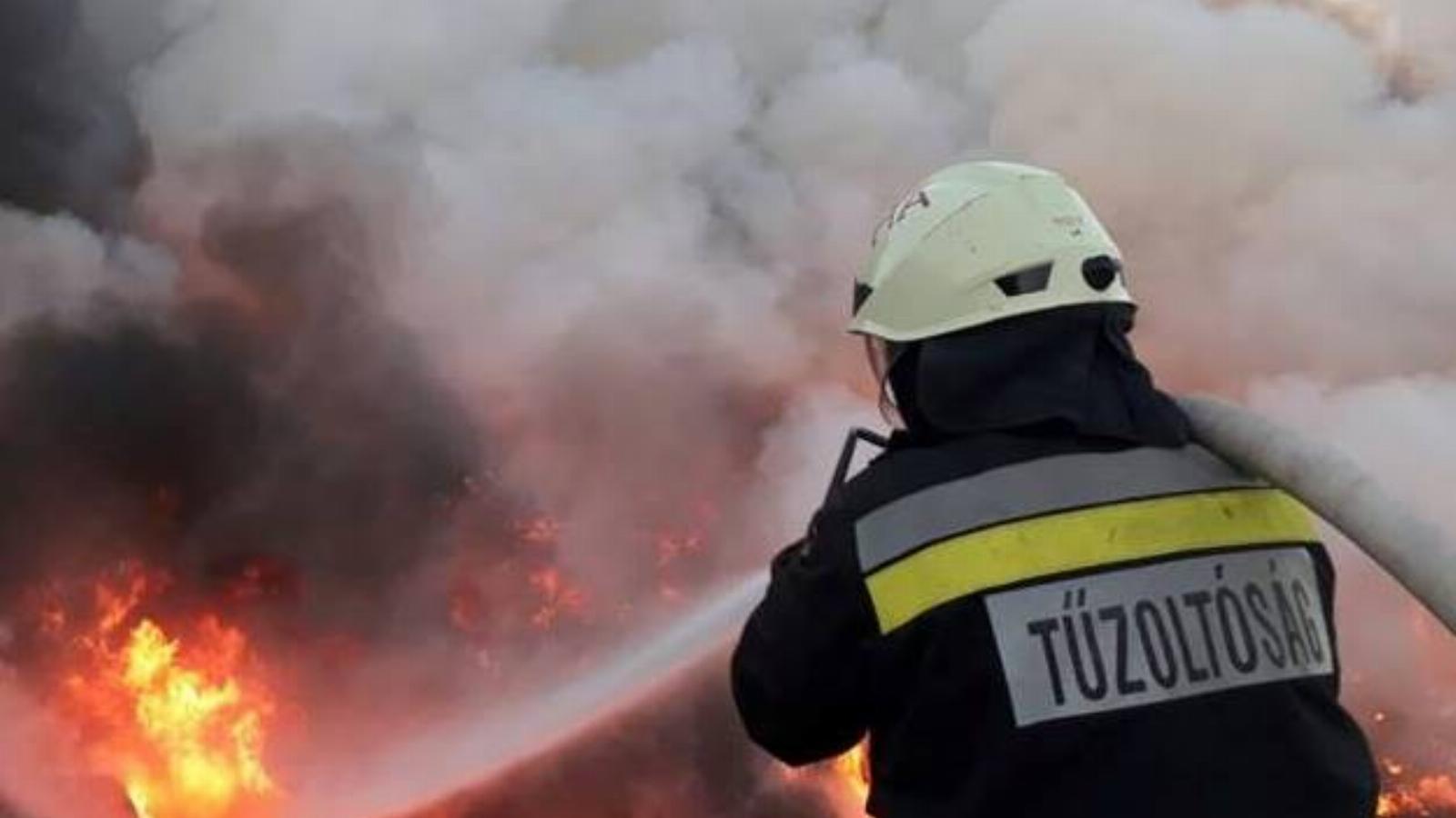 Képünk illusztráció