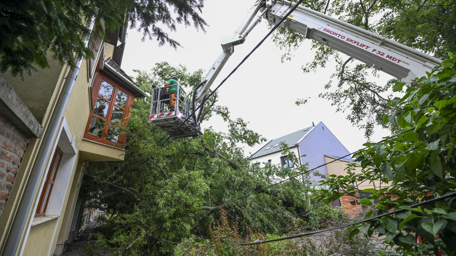 Kidőlt fa eltávolítása Debrecenben 2025. július 9-én