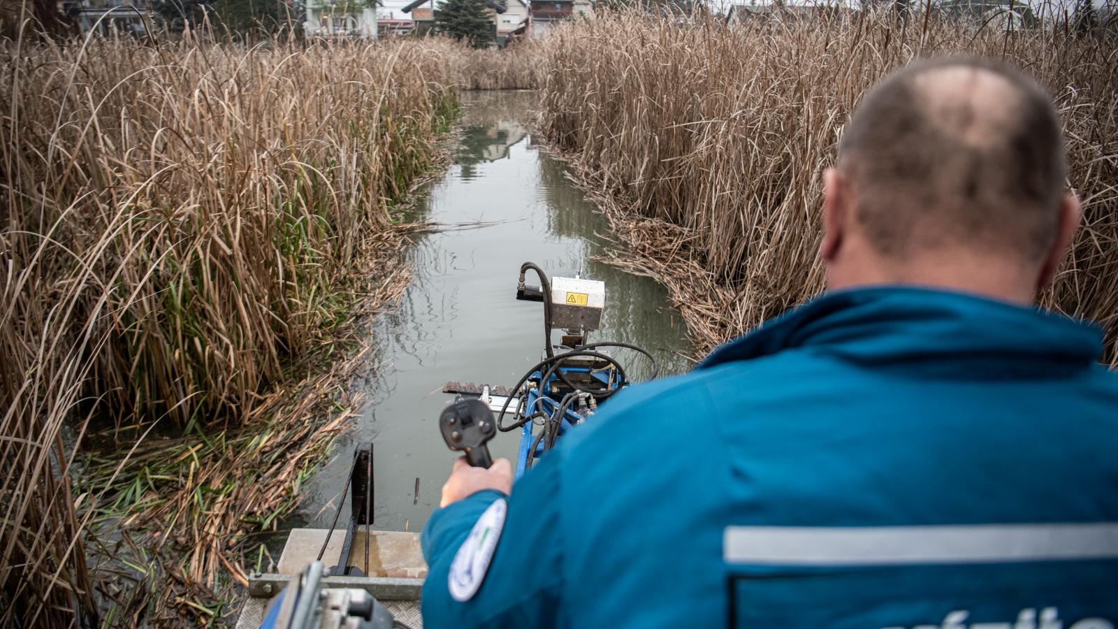 Illusztráció: Vízügyi ellenőr a szigetszentmiklósi nádasban - Korábbi felvétel 