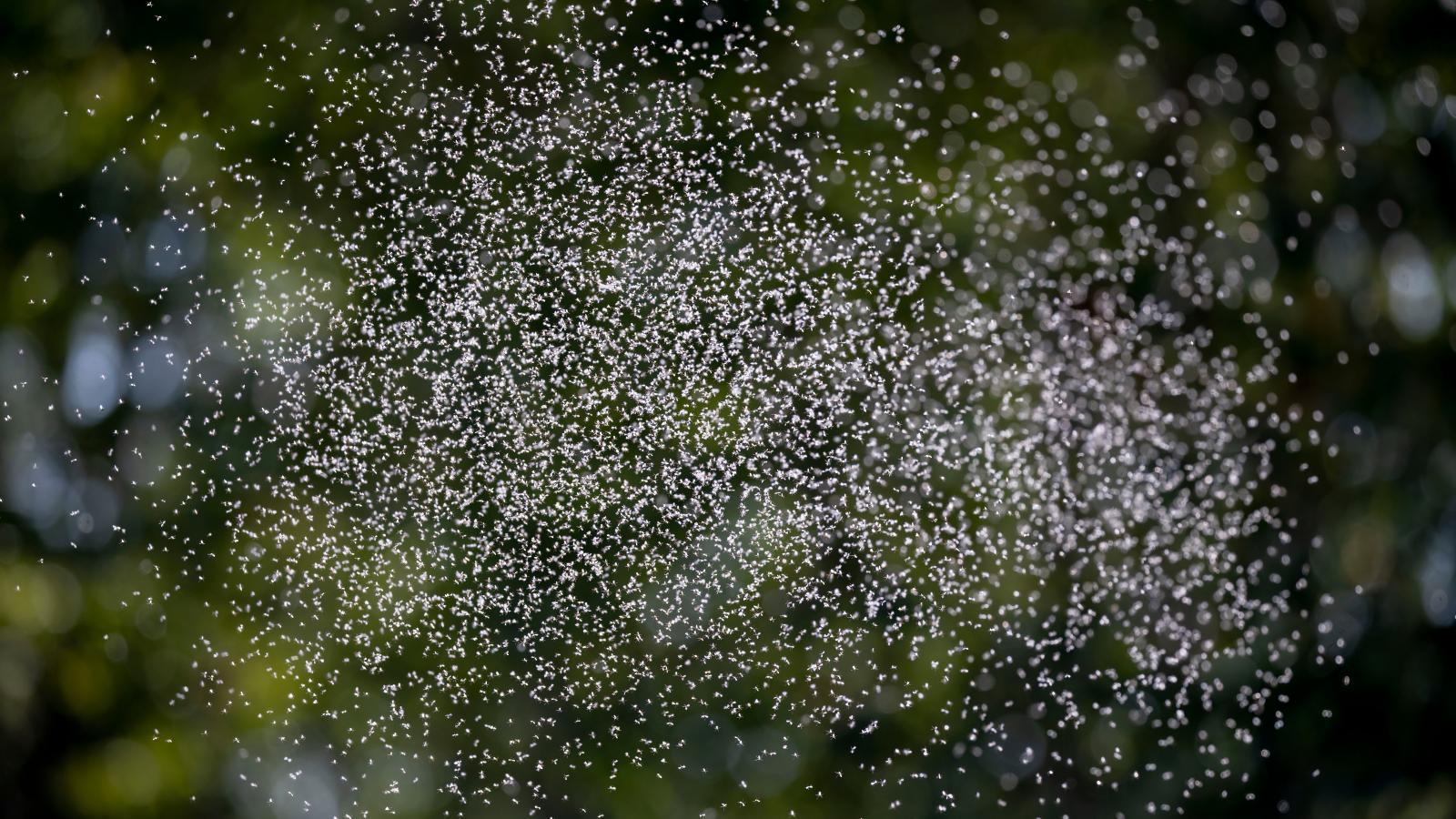 Képünk illusztráció