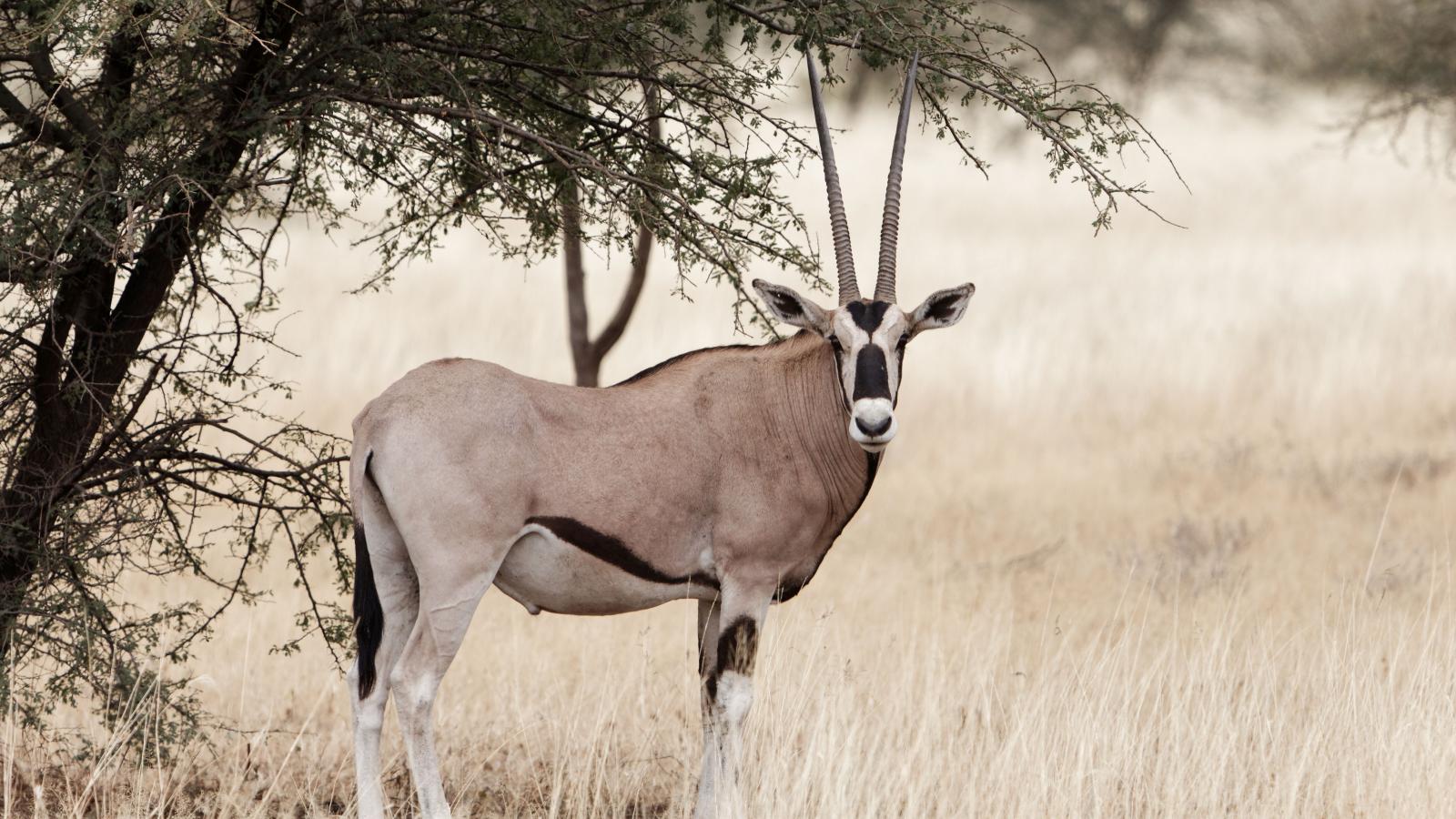 Képünk illusztráció.