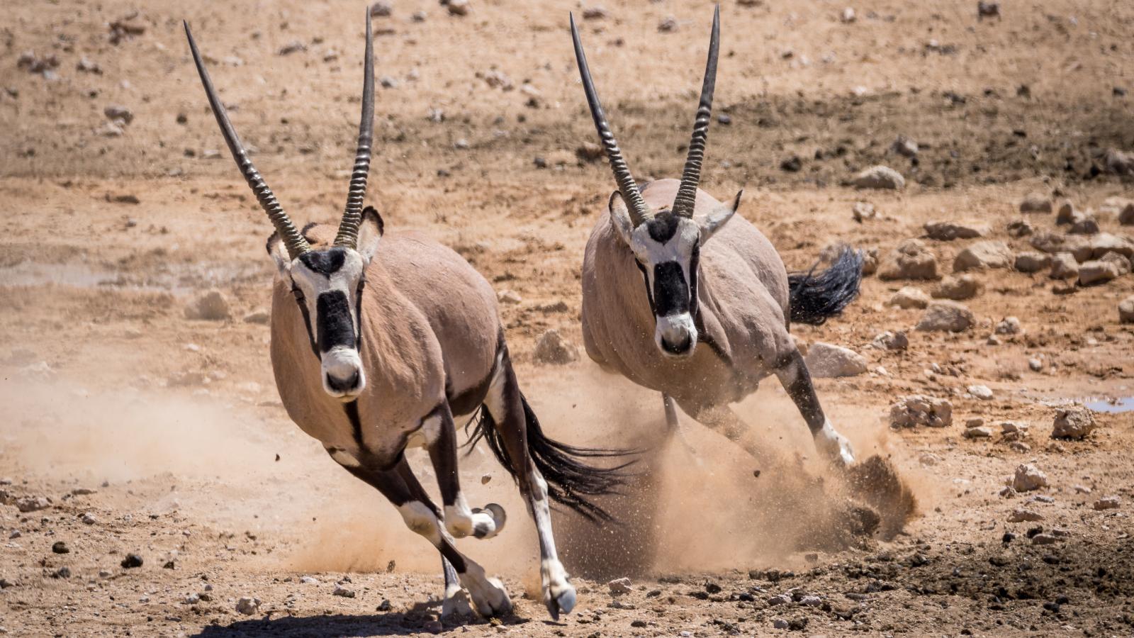 Képünk illusztráció