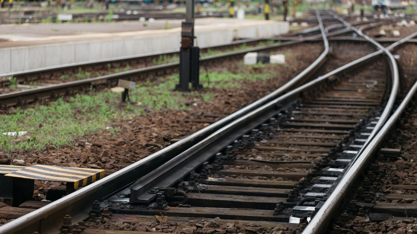 Képünk illusztráció