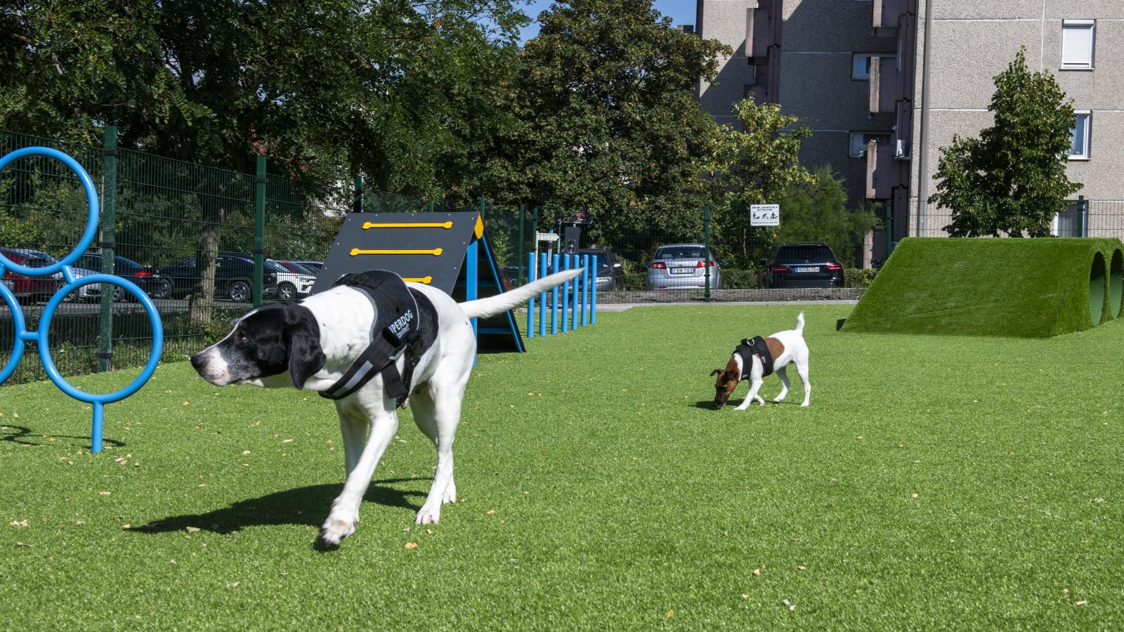 A XVII. kerületi kutyafuttatót is műfű borítja. A gazdák nem szívesen engedik rá a kutyáikat, mert szerintük büdös