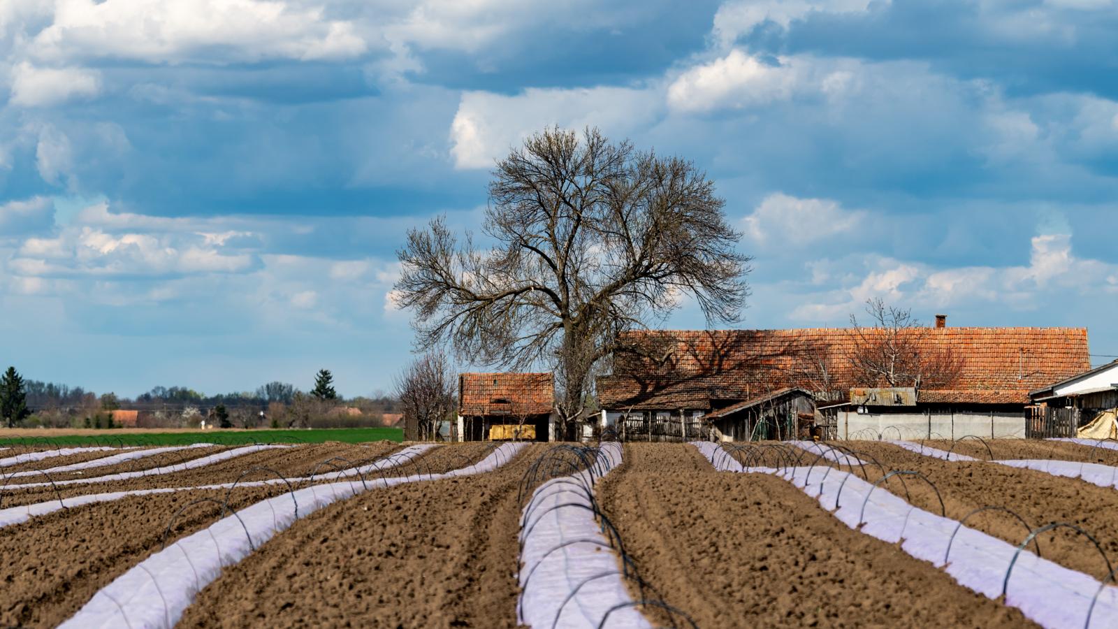 Így vagy úgy, minden termelőt érinthet a támogatási rendszer átalakítása