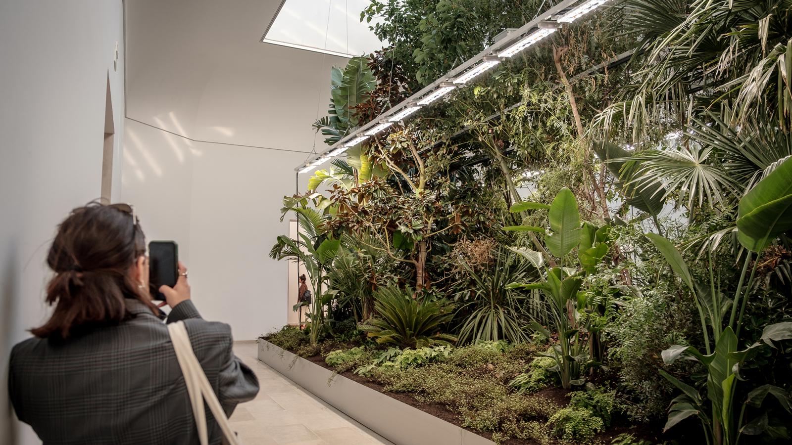 A belga pavilonban több mint kétszáz növény látható