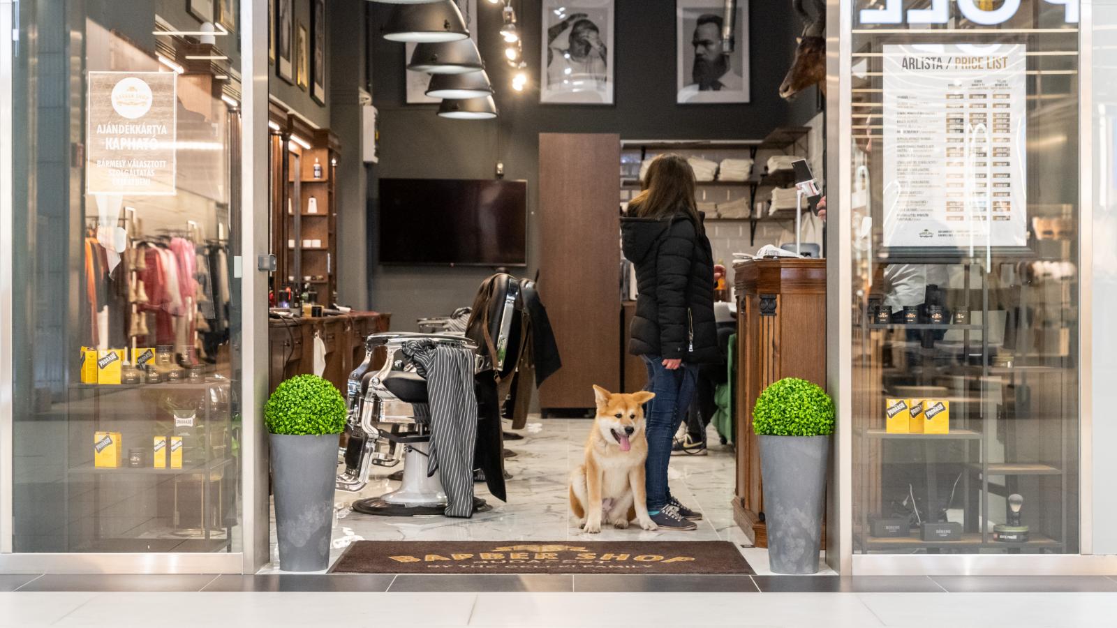 Képünk illusztráció.