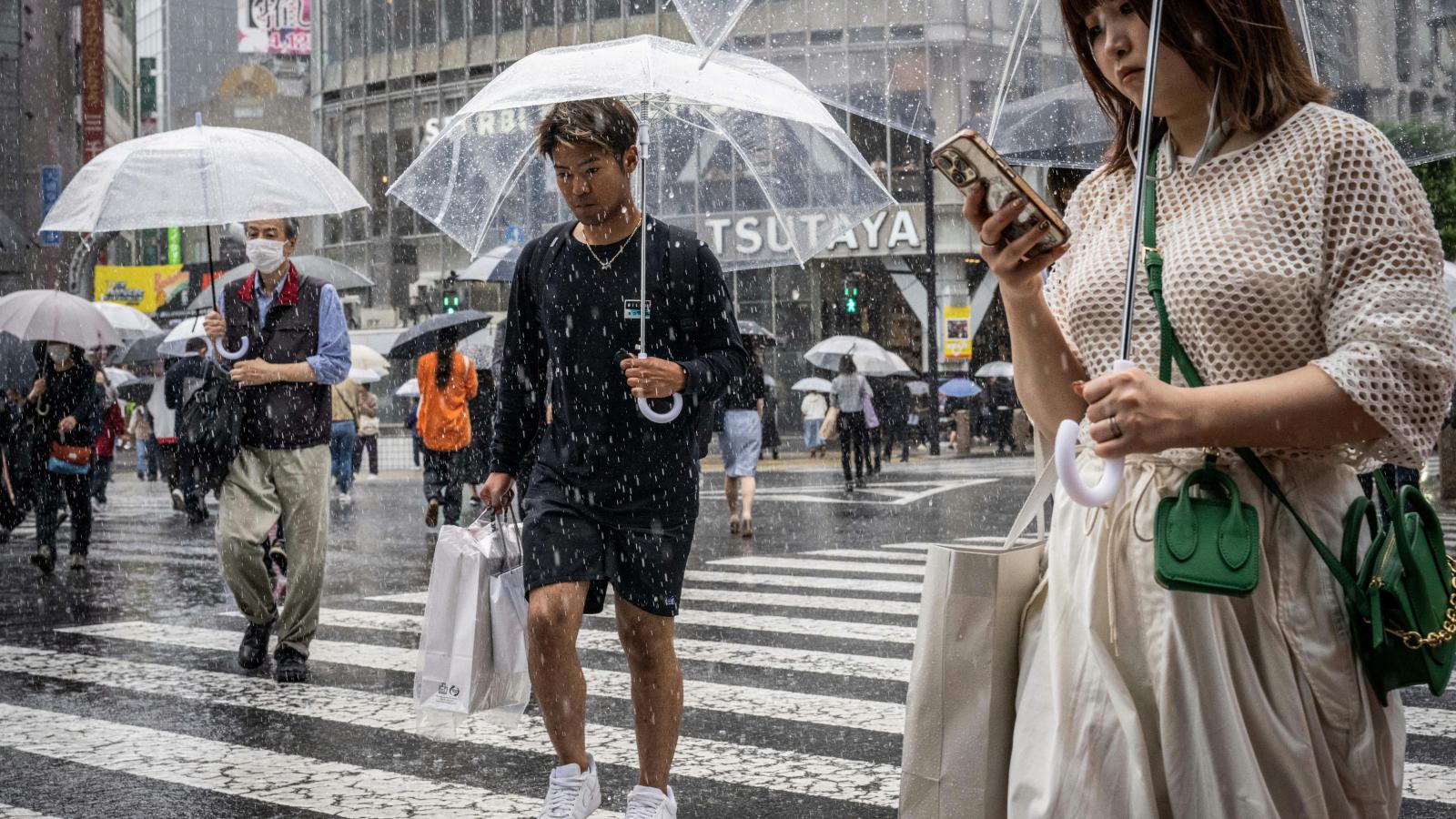 Képünk illusztráció