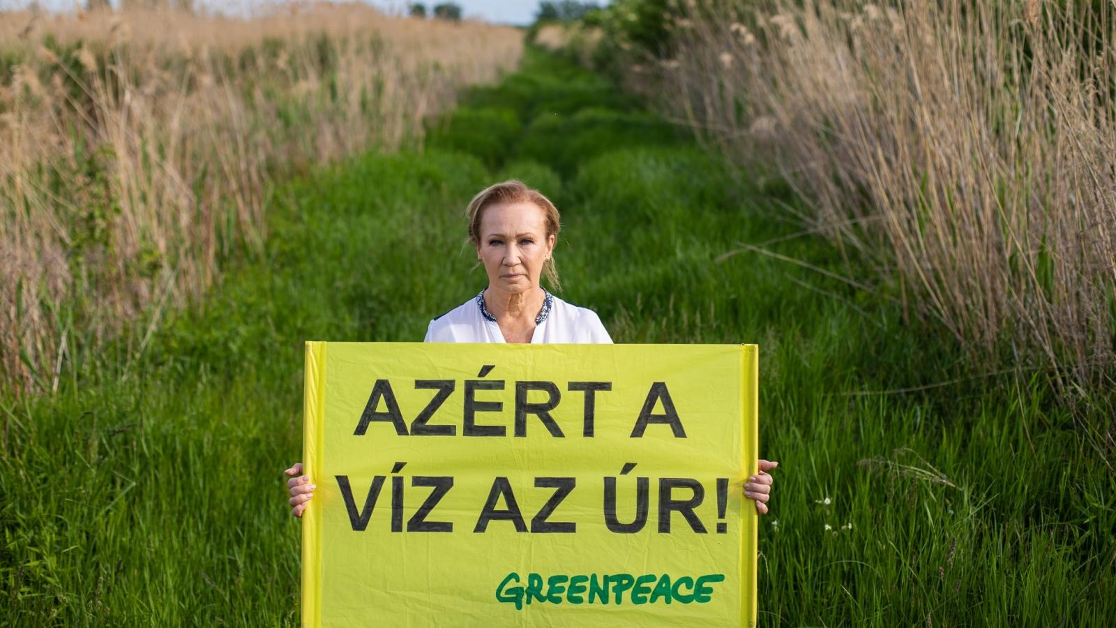 Udvaros Dorottya - Korábbi felvétel