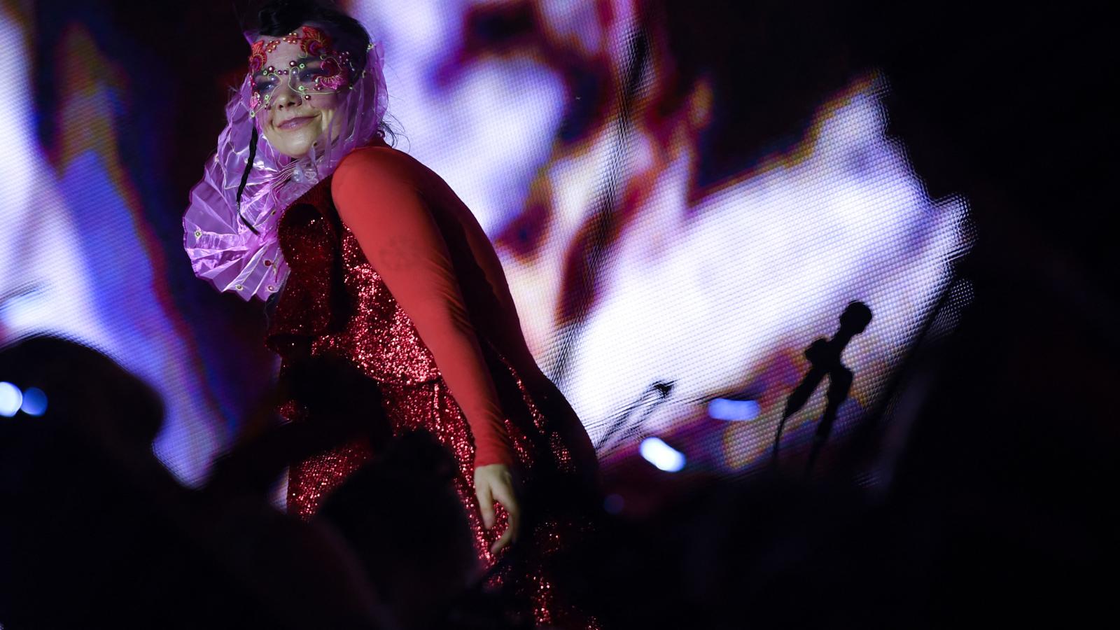 Az énekesnő kategóriákba besorolhatatlan, valódi kísérletező típus. Énekel, zenét szerez, hangszert és installációt készít amellett, hogy kiáll a számára fontos ügyekért