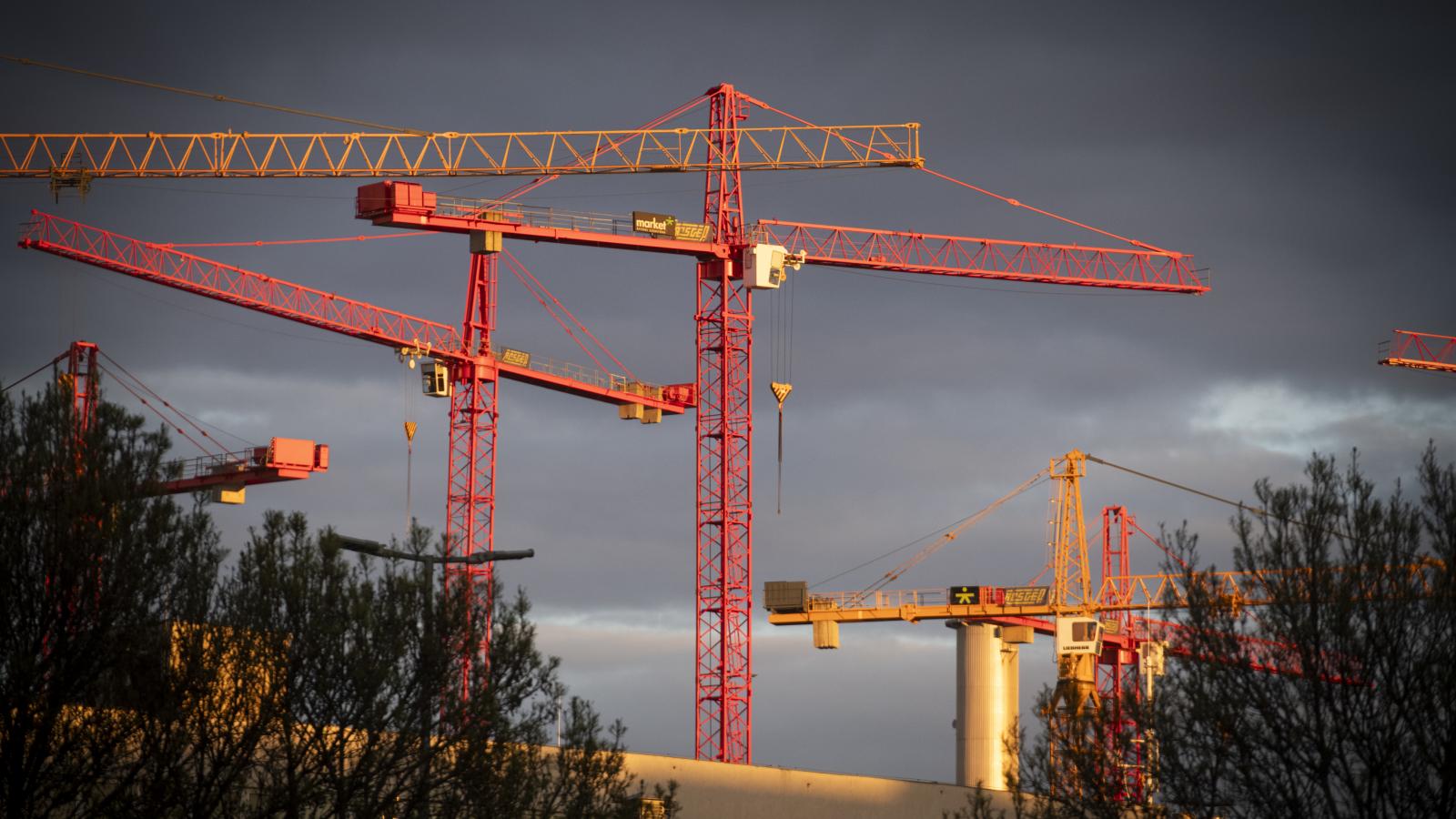 A folyamatos építkezések miatt egyre kevesebb a szabad zöld- terület