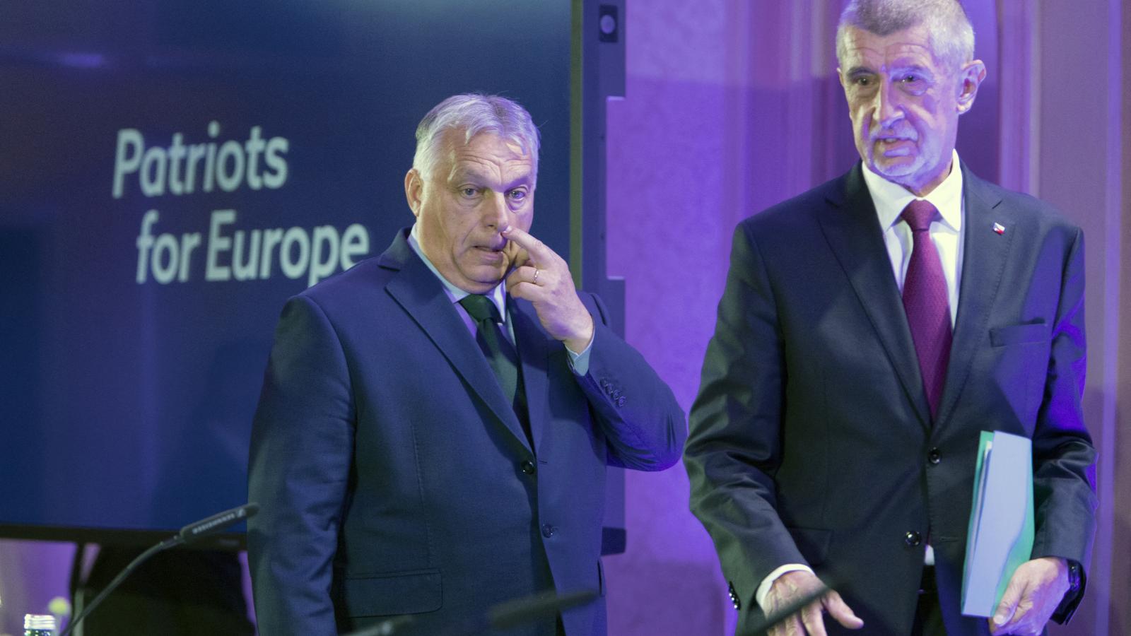 Andrej Babiš, bár pártját a liberálisoktól átvitte a Patrióta pártcsaládhoz, nem tekint ellenségként az Európai Unióra. A cseh politikus hidegfejű üzletemberként piacot lát az Unióban, és pénzforrásként kezeli