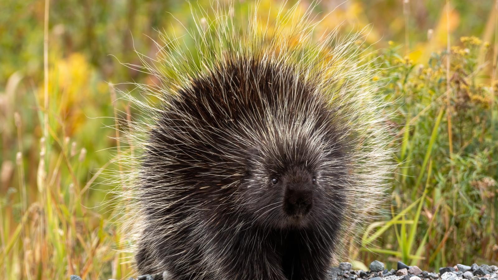 Képünk illusztráció.