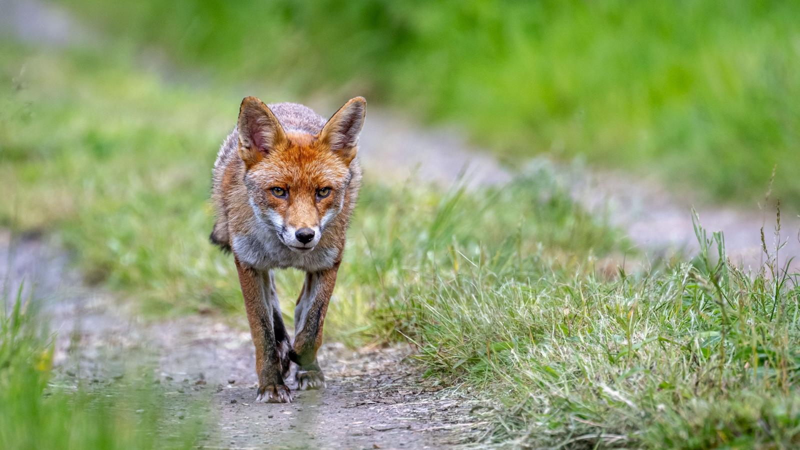 Képünk illusztráció