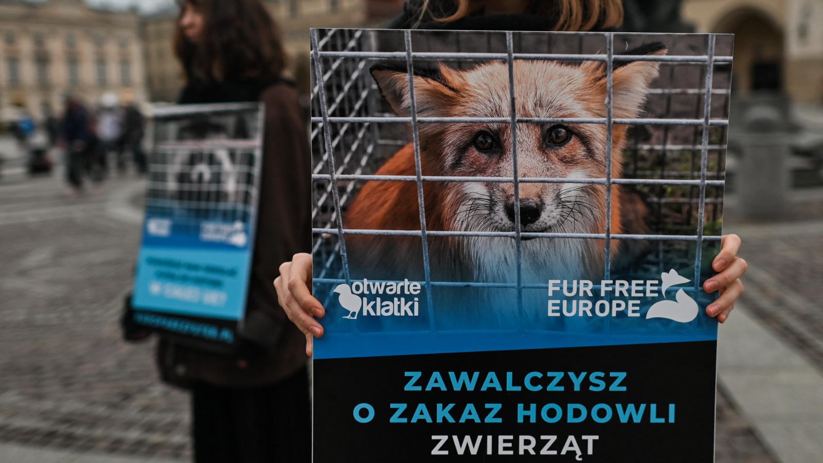 Prémes állatok tenyésztése elleni tiltakozás 2022-ben Krakkóban
