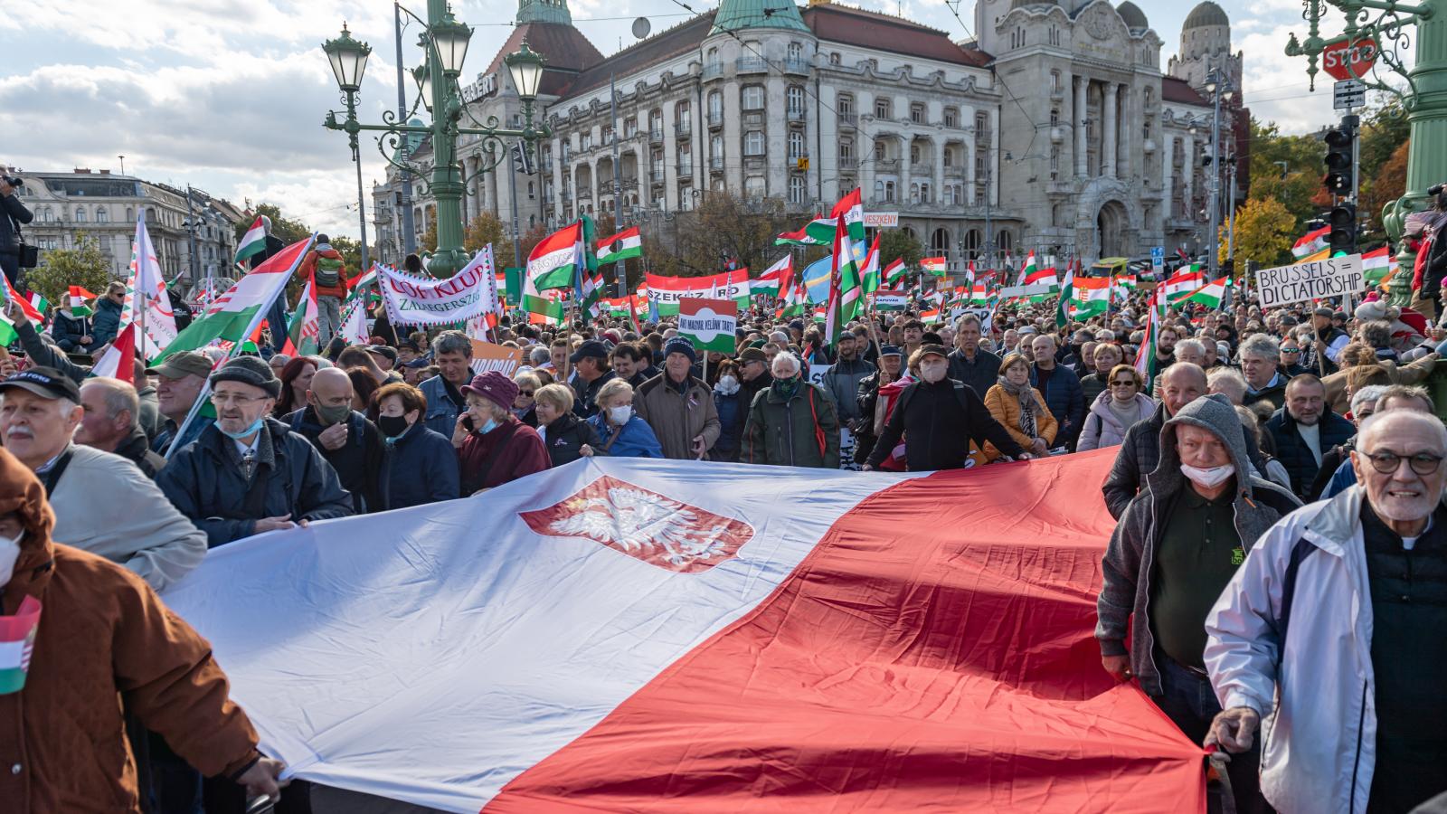 Lengyelek a fideszes Békemeneten 2021. október 23-án