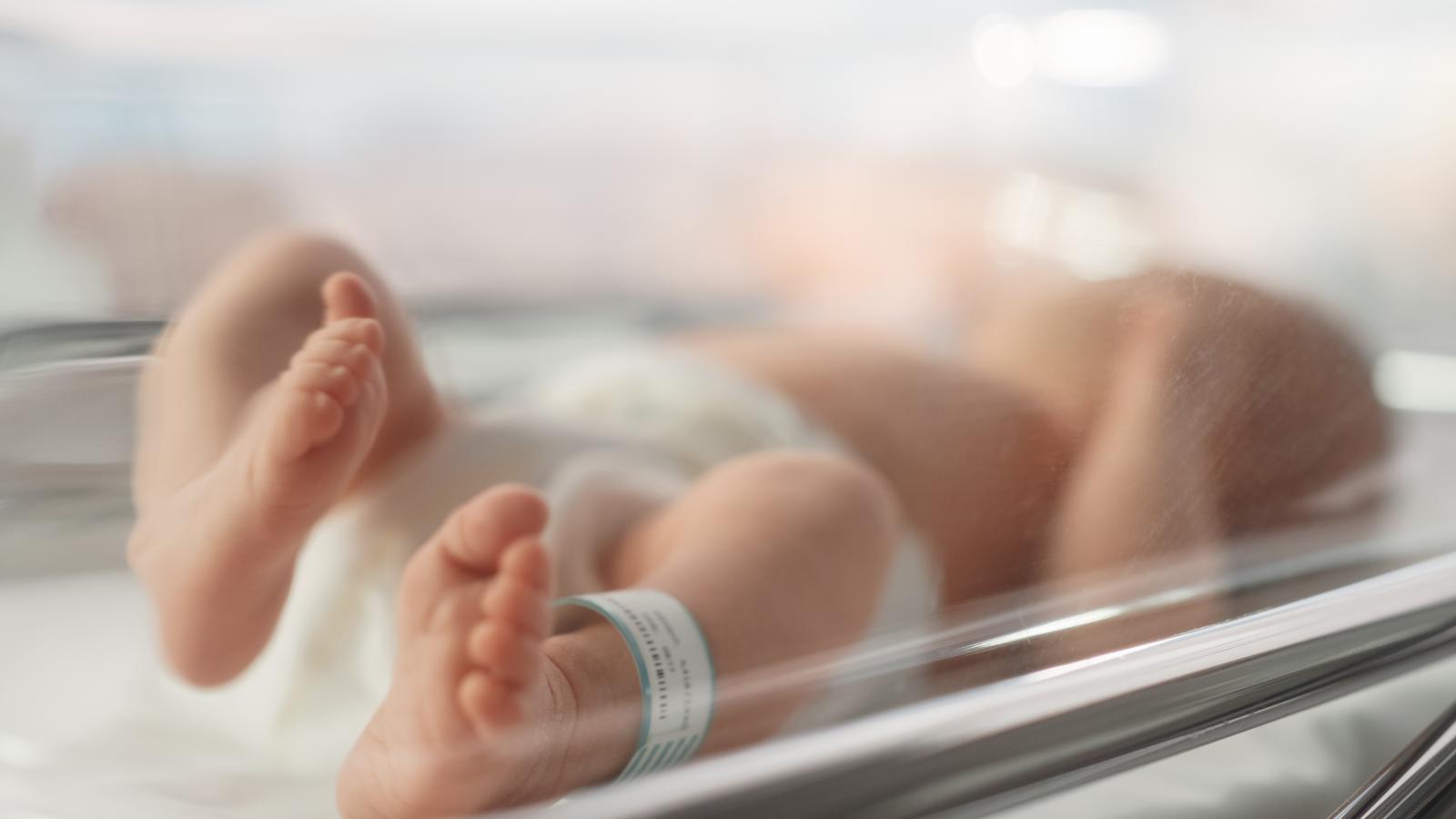 Képünk illusztráció