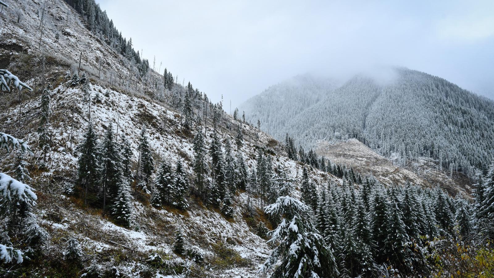 A Fogarasi-havasok. Képünk illusztráció