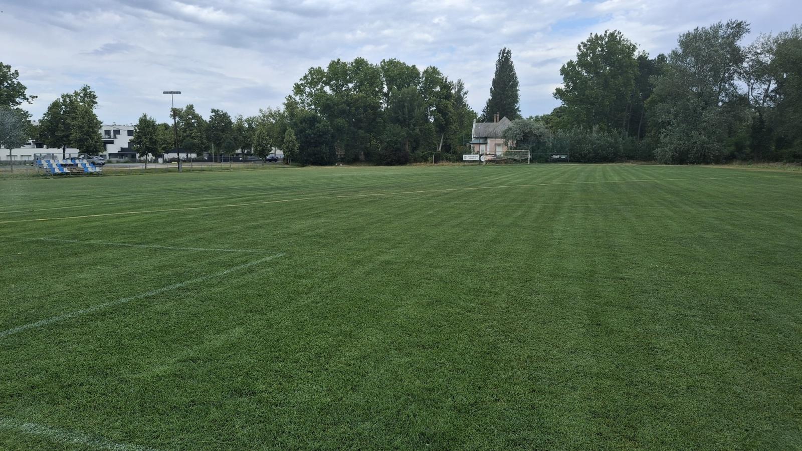 „A terület nem a Balaton partján van, két telek és egy közút választja el a vízparttól” – érvelt a település vezetése. Ami annyiban igaz, hogy nem közvetlen tóparti a hely, hanem cirka 100 méterre található a medertől, ami balatoni viszonylatban tópartina