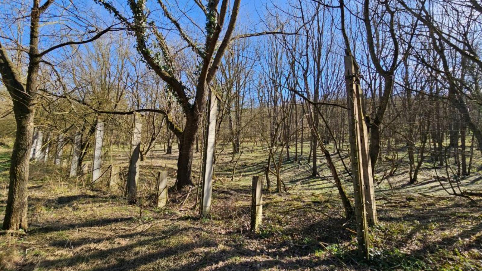 Az egyik érintett földterület 