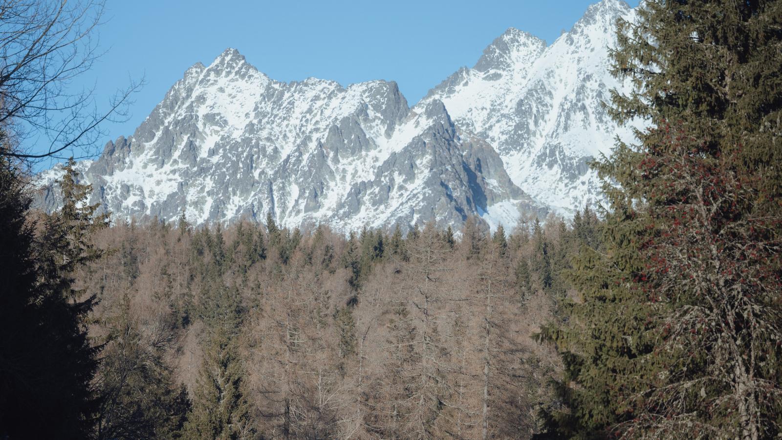 Képünk illusztráció, a Magas-Tátra a Csorba-tónál