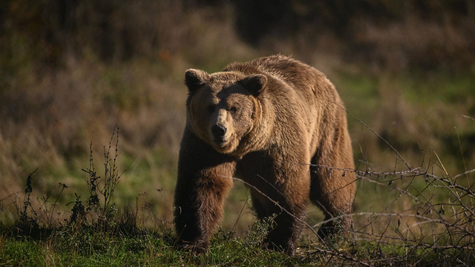 Képünk illusztráció