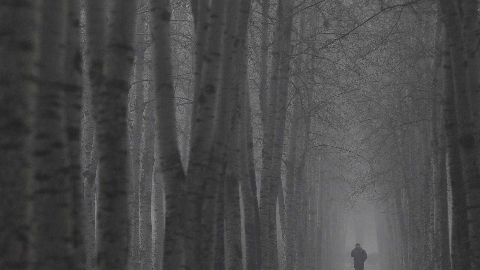 Fotó: Feng Li/Getty Images.