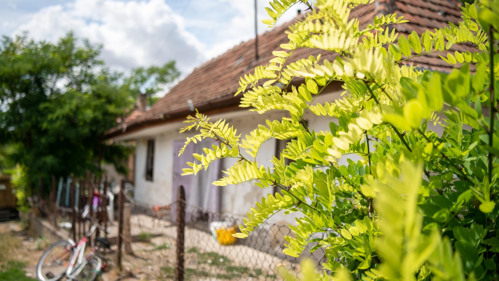 Életkép Mezőkeresztesen. Az első település volt, ahol elfogadták a rendeletet.
