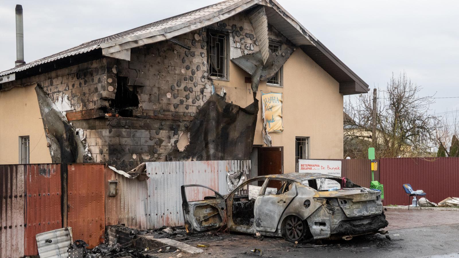 Egy szétlőtt állatorvosi rendelőben húsz állat veszett oda a Kijev megyei Csabaniban