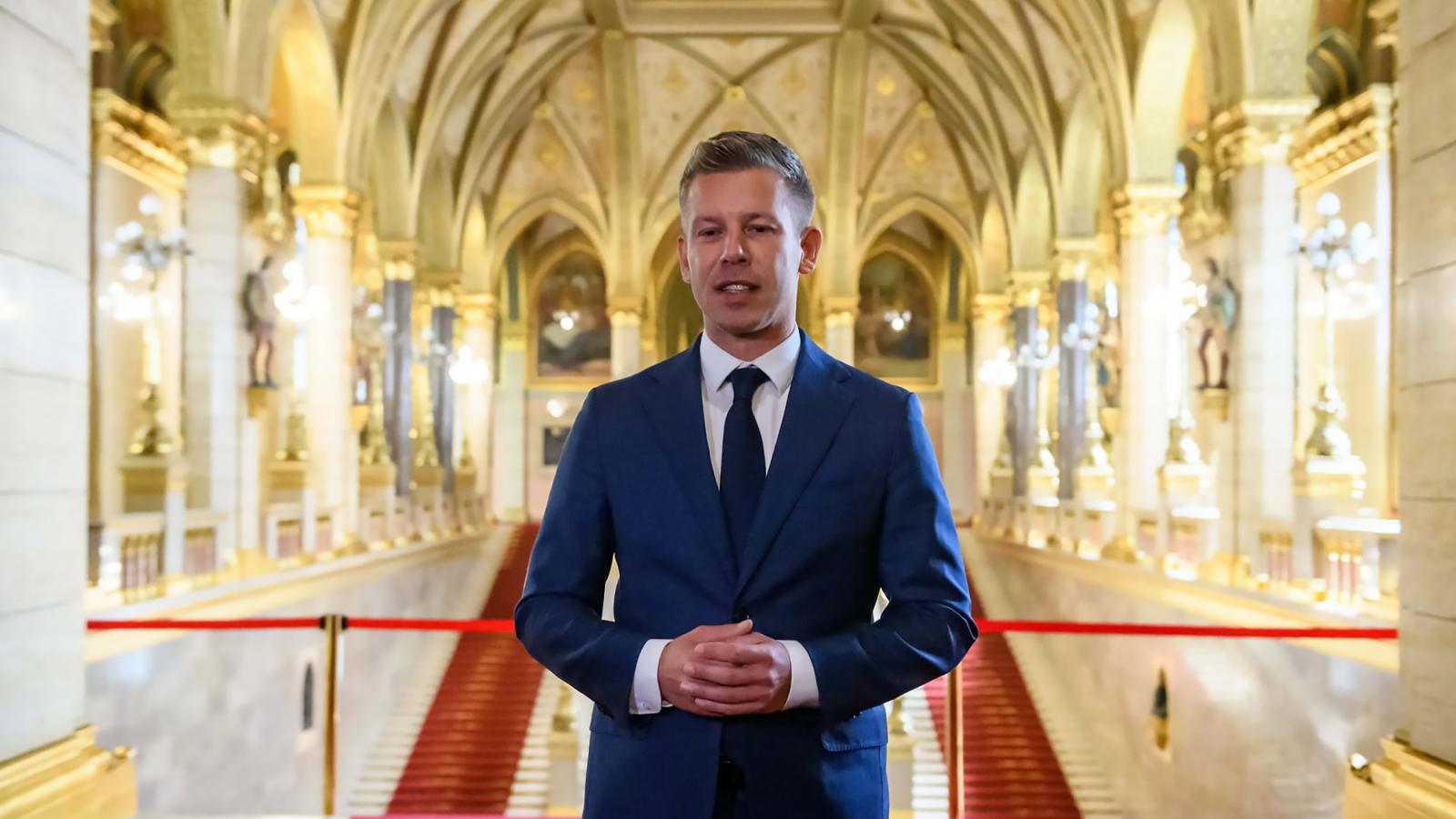 Magyar Péter az Országházban április 17-én.