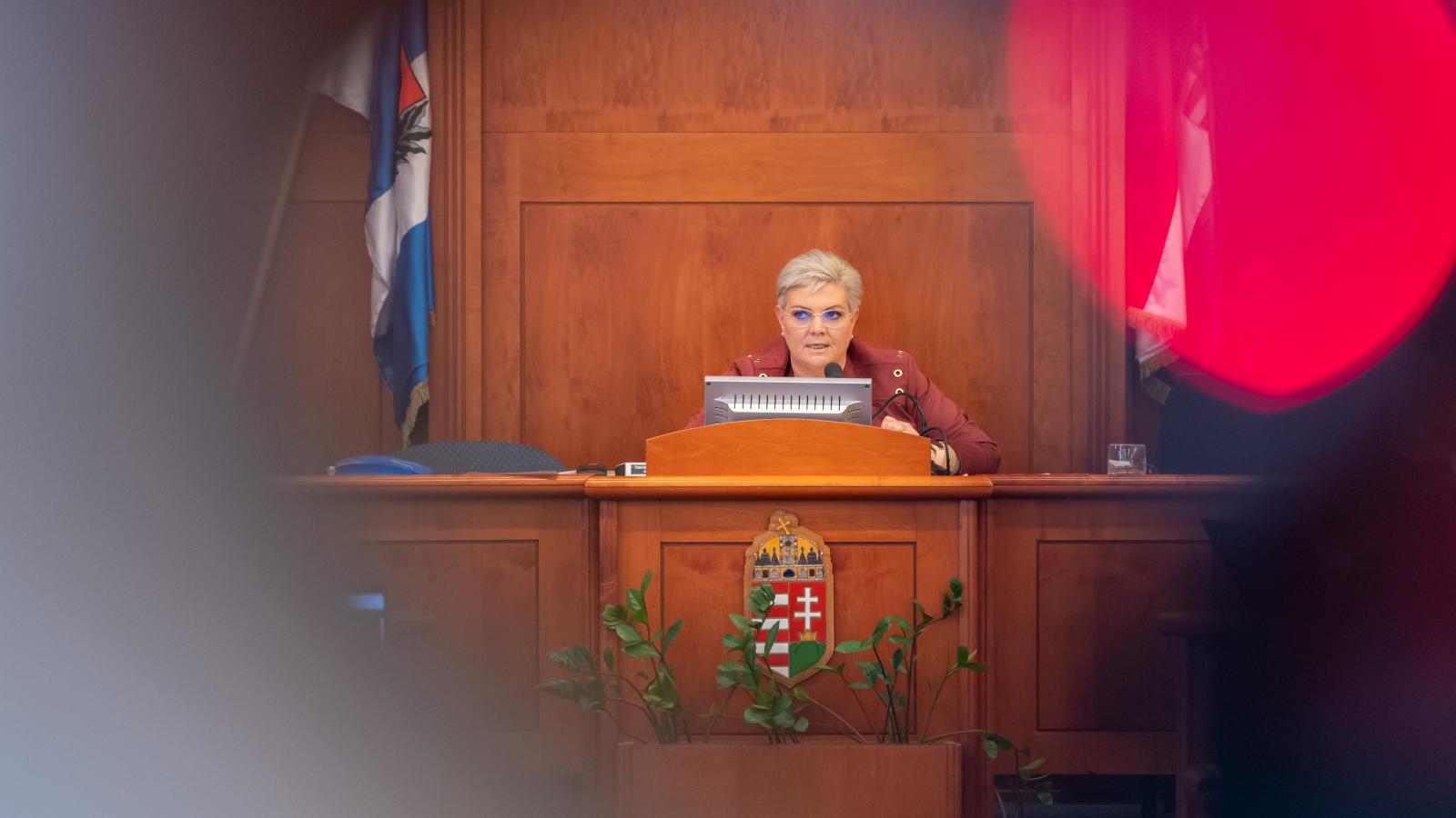 Cserdiné Németh Angéla polgármester a XV. kerületi önkormányzat  egy korábbi ülésén 
