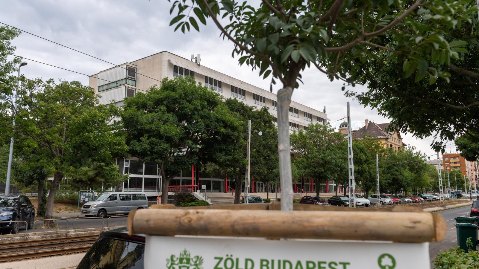 Az egykori pártszékház épülete. A lakópark építése miatt kivágnának 92 fát, amelynek ráadásul csak a fele helyett ültetnének csemetéket