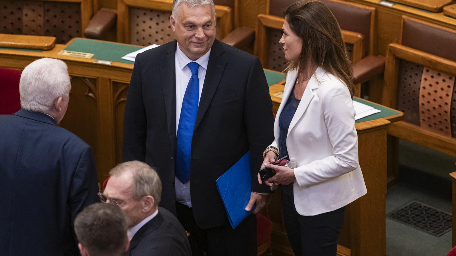 Csoportszolidaritás vagy önálló döntés?