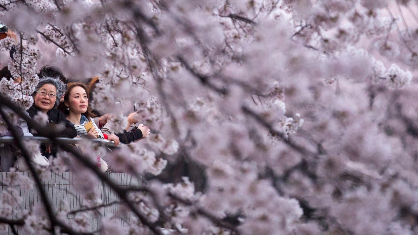 FOTÓ: EUROPRESS/GETTY IMAGES/CHRIS MCGRATH