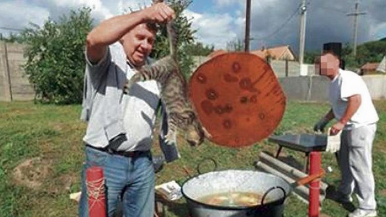 A képen úgy tűnik, mintha a cirmost épp bele akarná tenni, és meg akarná főzni.