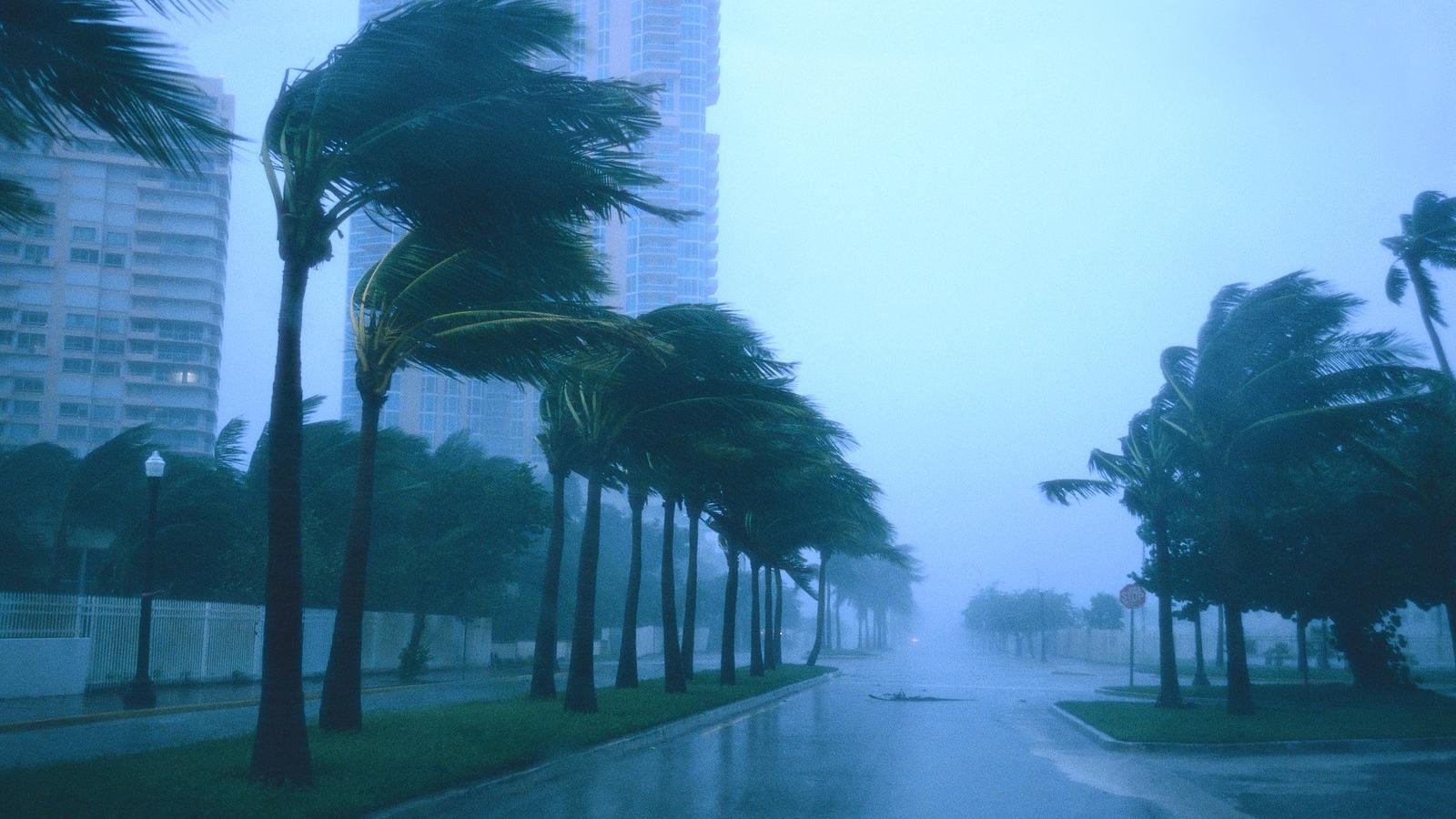 Illusztráció: Thinkstock