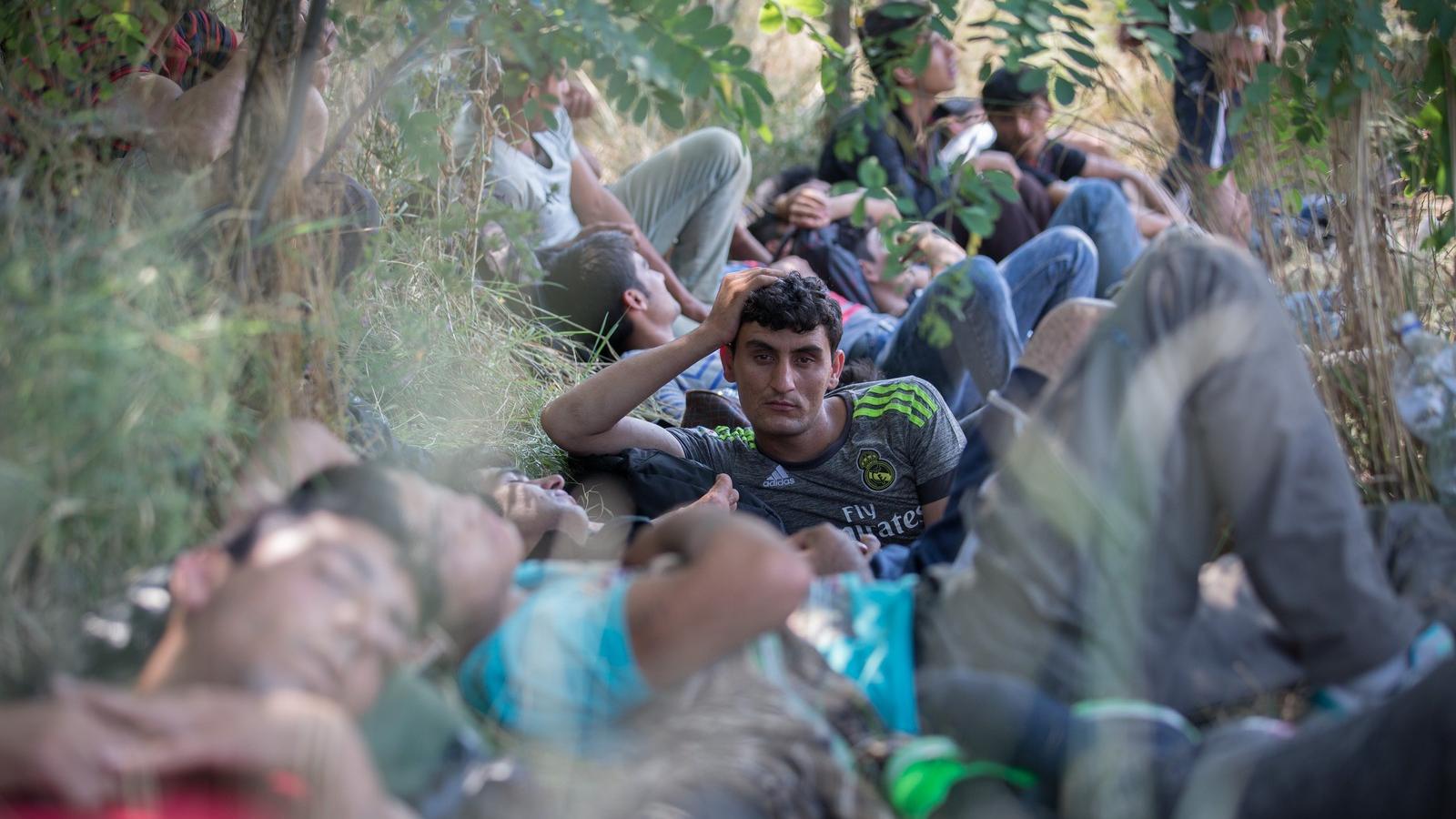 Menekültek buszra várnak Szegednél FOTÓ: EUROPRESS/GETTY IMAGES/MATT CARDY