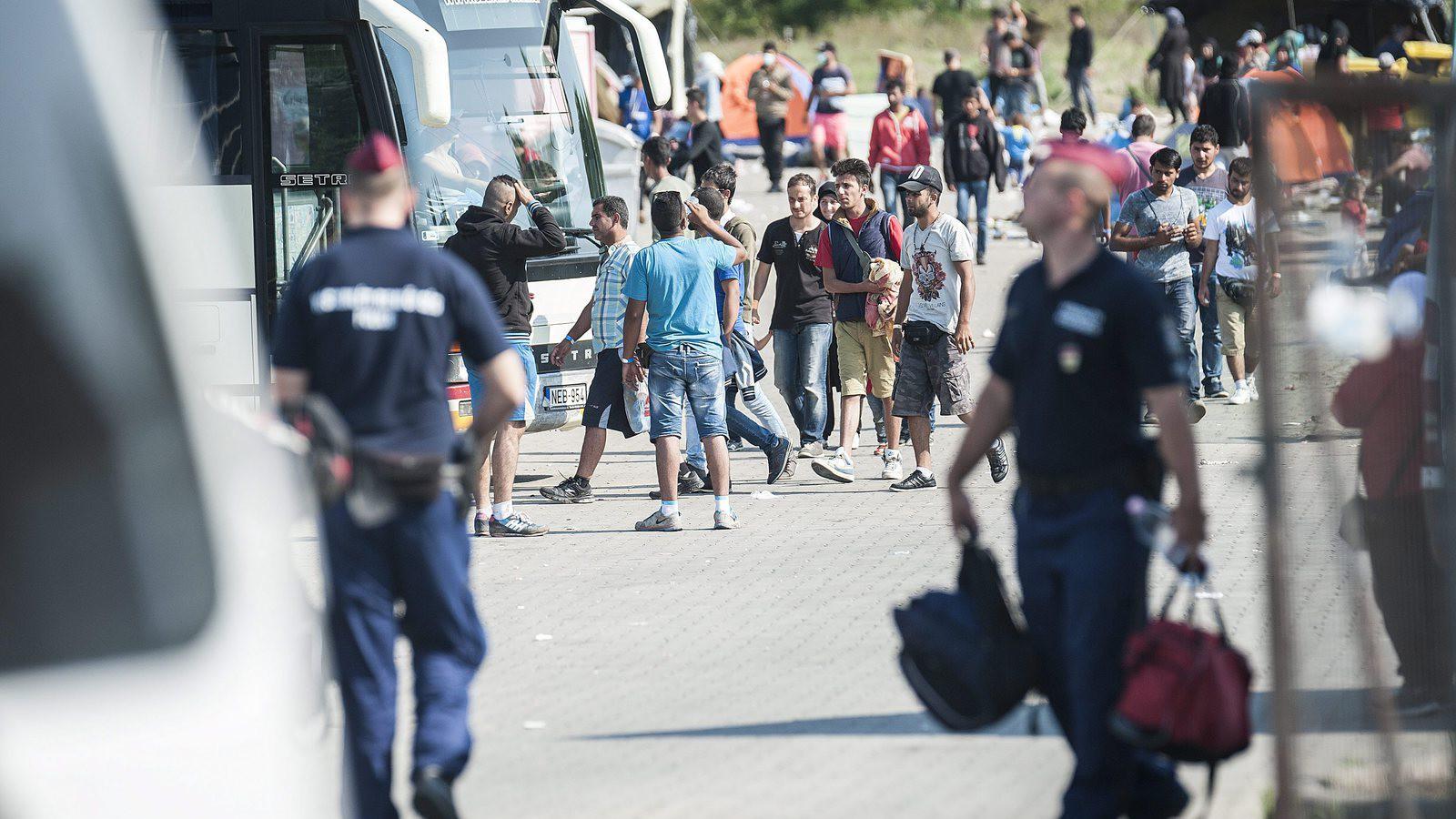 Menekültek  számára kialakított hangár Röszkén  MTI Fotó: Ujvári Sándor