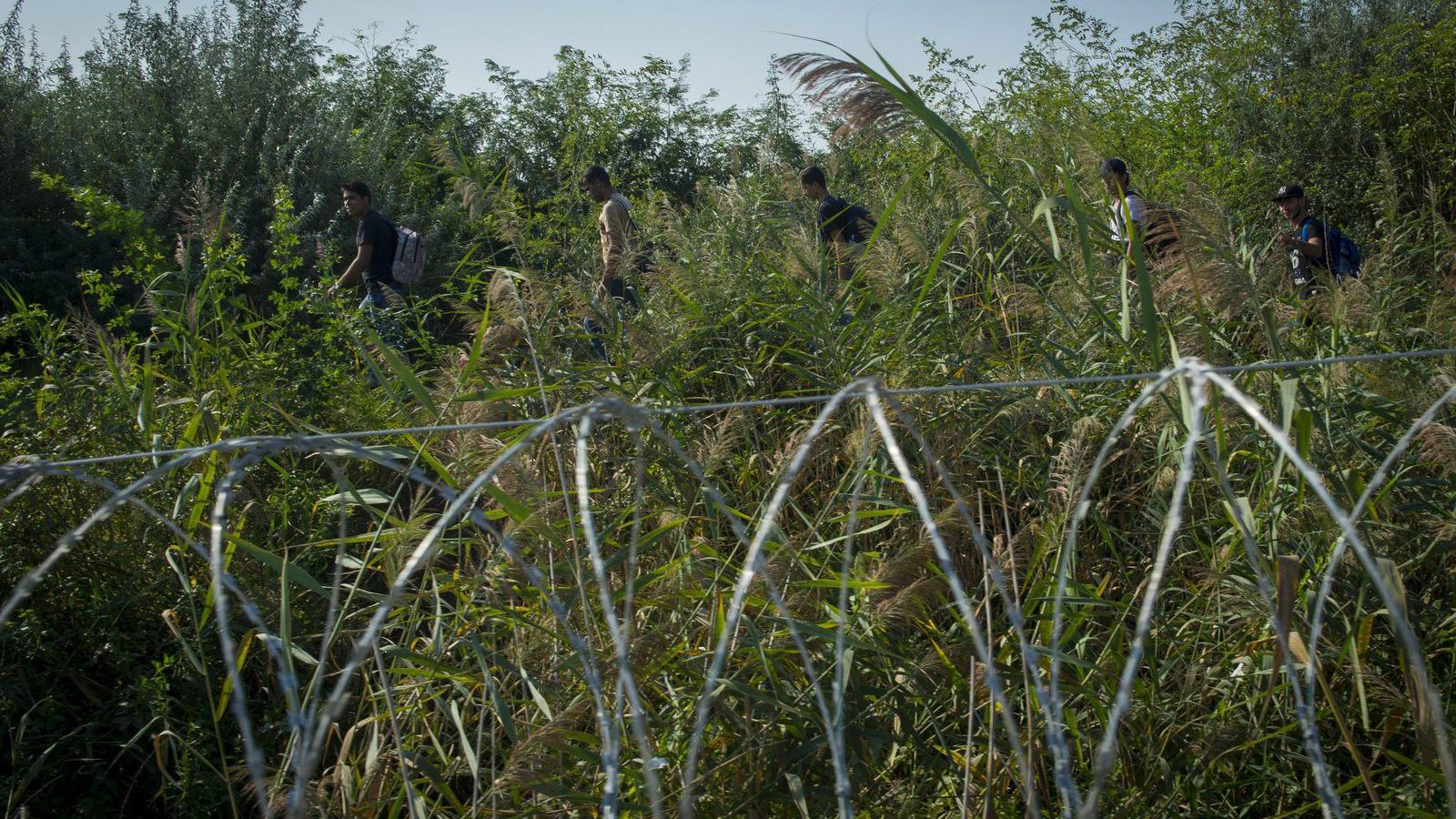 Migránsok a Röszke melletti vasúti átjáró közelében, a magyar-szerb határon 2015. szeptember 2-án. MTI Fotó: Cseke Csilla