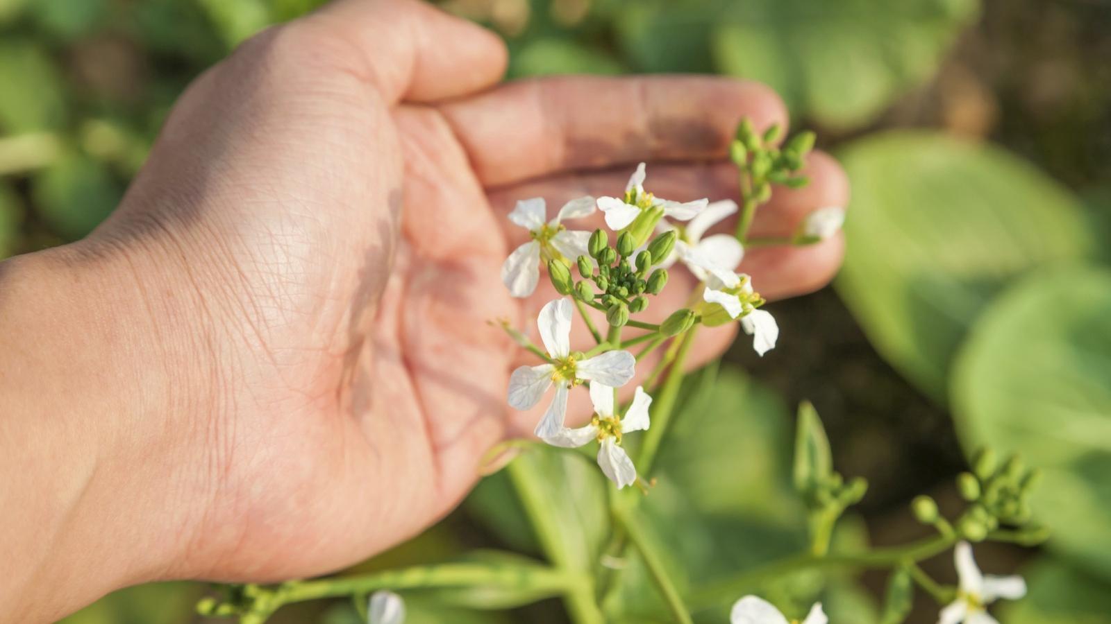 Illusztráció: Thinkstock