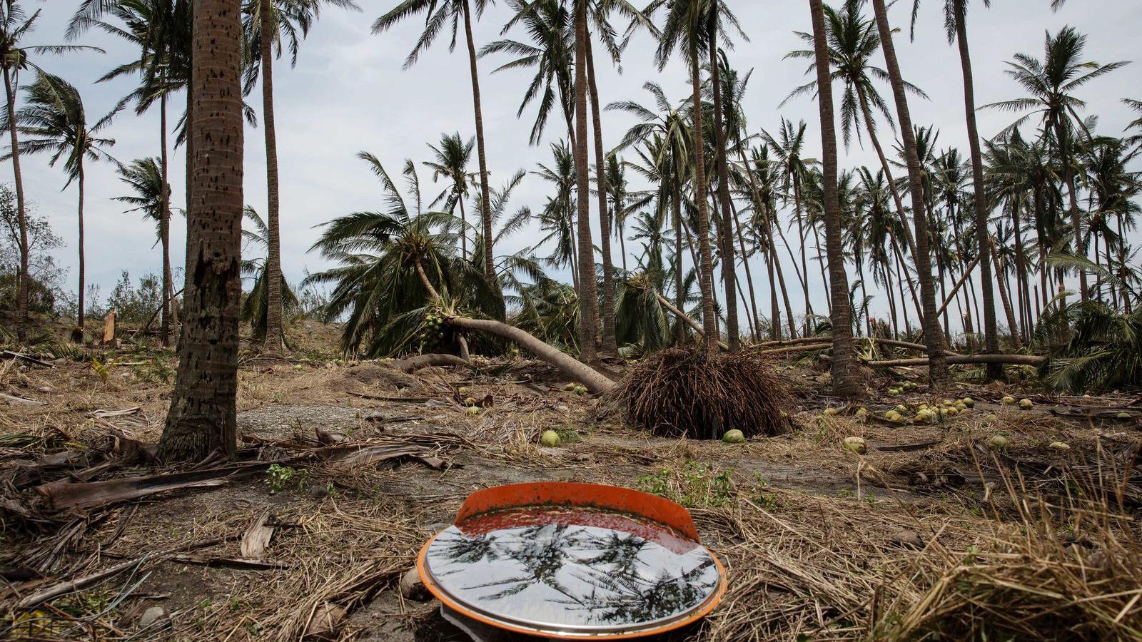 Fotók: Billy H.C. Kwok/Getty Images