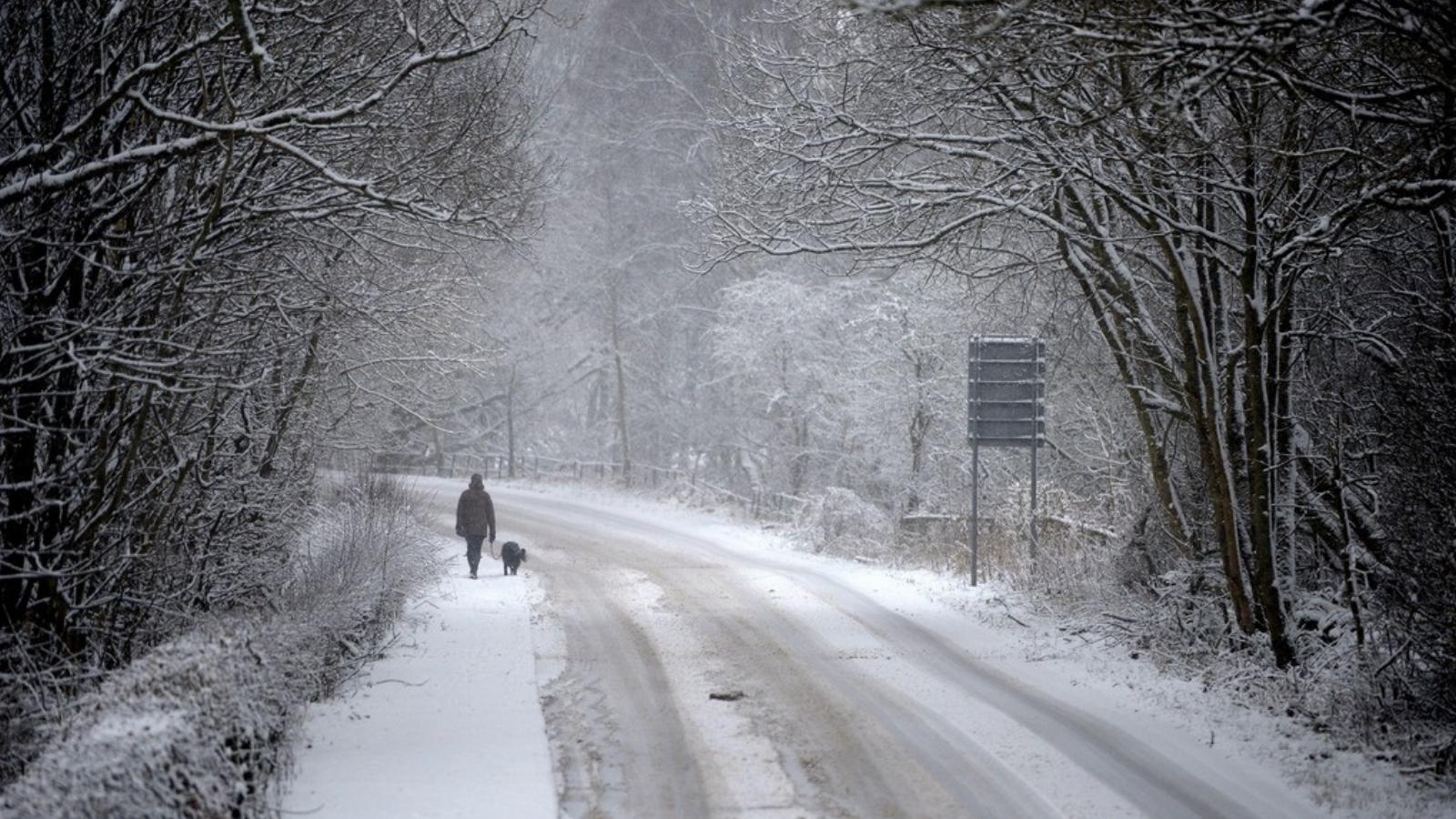 Képünk illusztráció. Fotó: Jeff J Mitchell/Getty Images