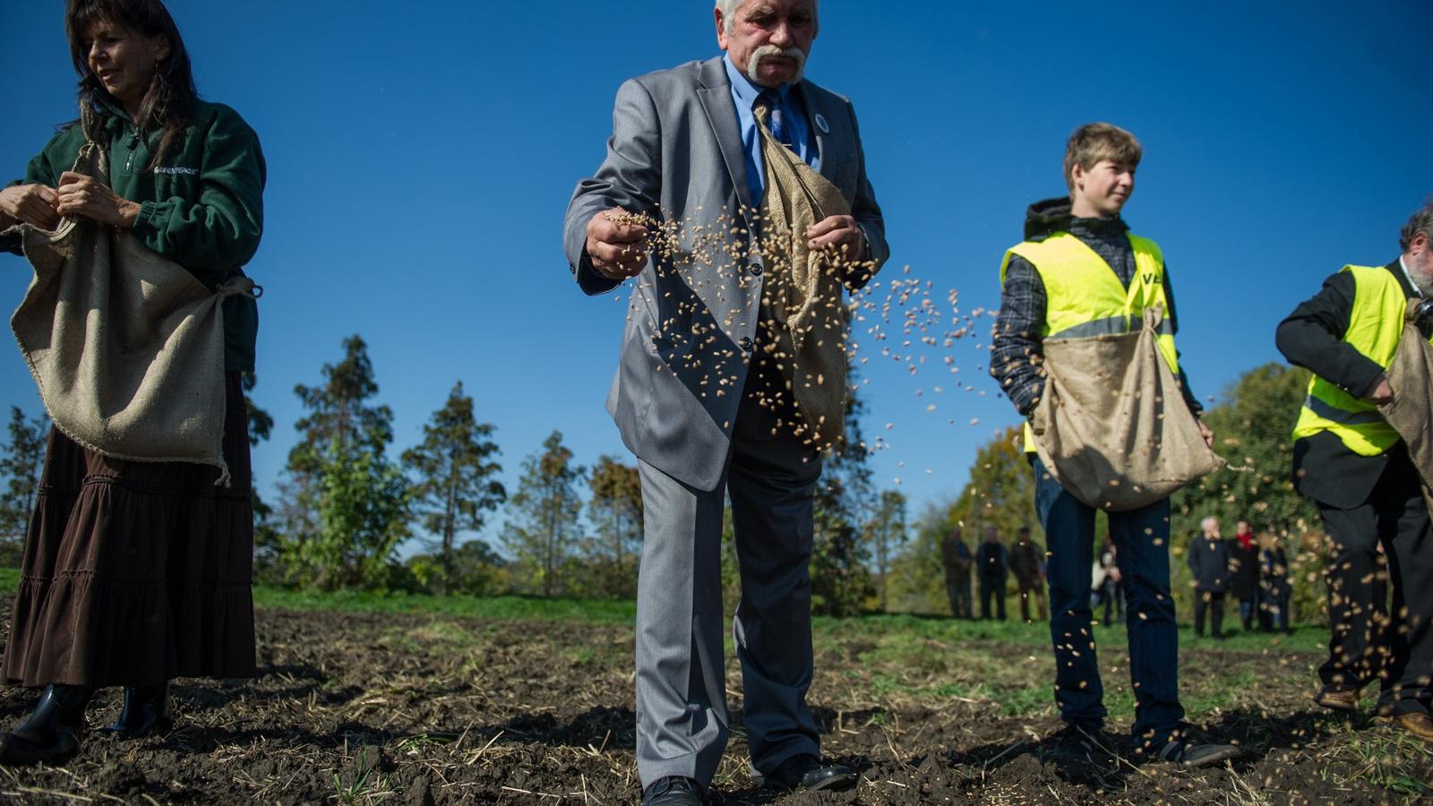 A Kishantos számára kedvező döntés másnapján elhunyt az ökogazdaság egyik alapítója, Bolye Ferenc (középen) FOTÓ: TÓTH GERGŐ